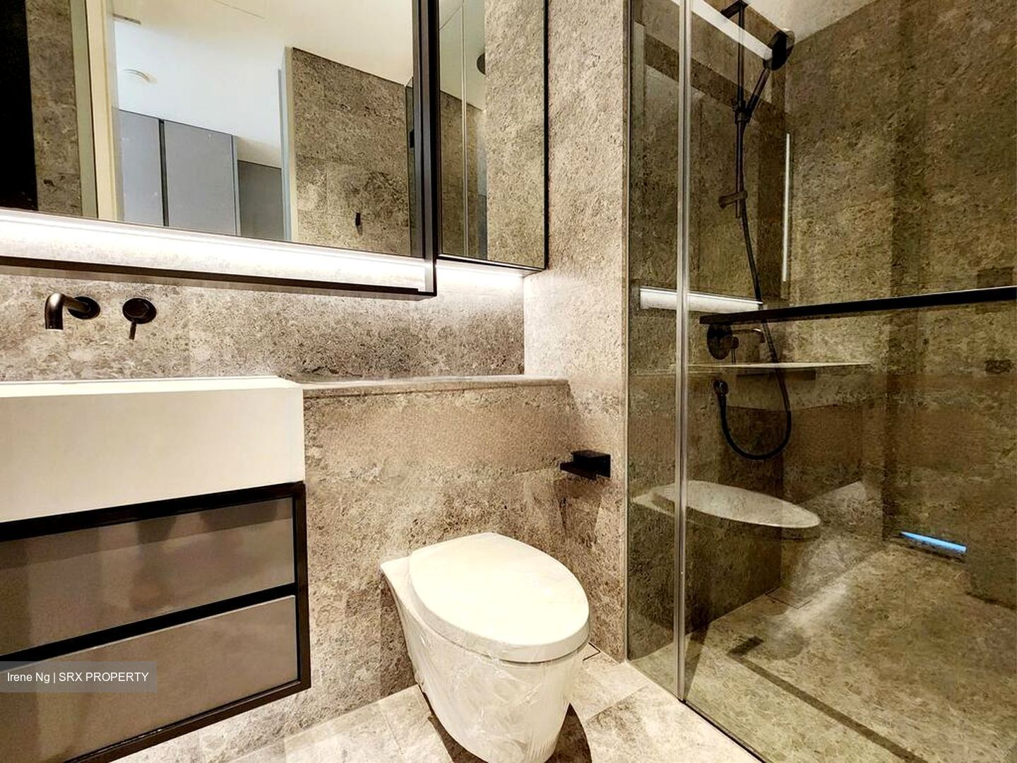 Cuscaden Reserve (D10), Condominium #480791121